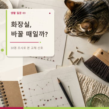 고양이 화장실은 몇 년마다 바꿔야 할까? 30명 조사로 본 교체 신호 5가지