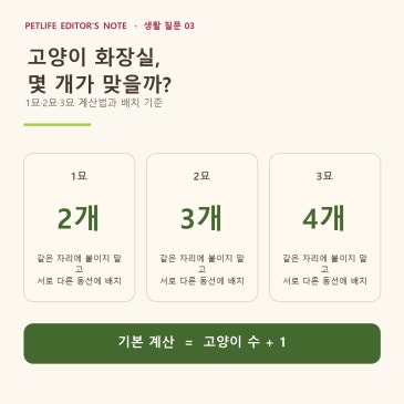 고양이 화장실 몇 개가 좋을까? 1묘·2묘·3묘 계산법과 배치 기준