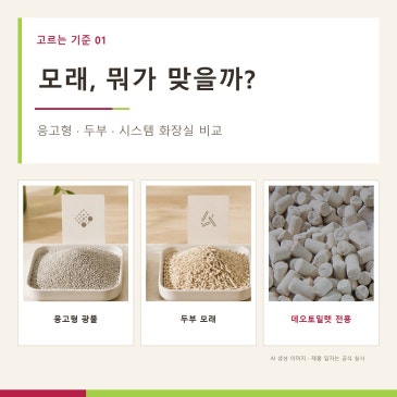 벤토나이트·두부모래·시스템 화장실 차이, 냄새·먼지·무게·청소로 비교